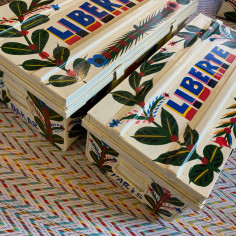 iron trunk, painted with... 2