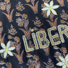 Simrane x CSAO LIBERTE cushion 2