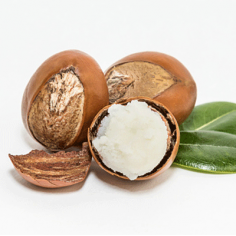 Shea Butter Yokoumi 2