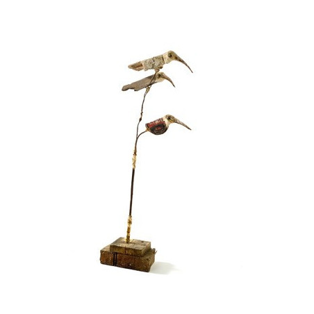 Les drôles d'oiseaux de Diedhiou